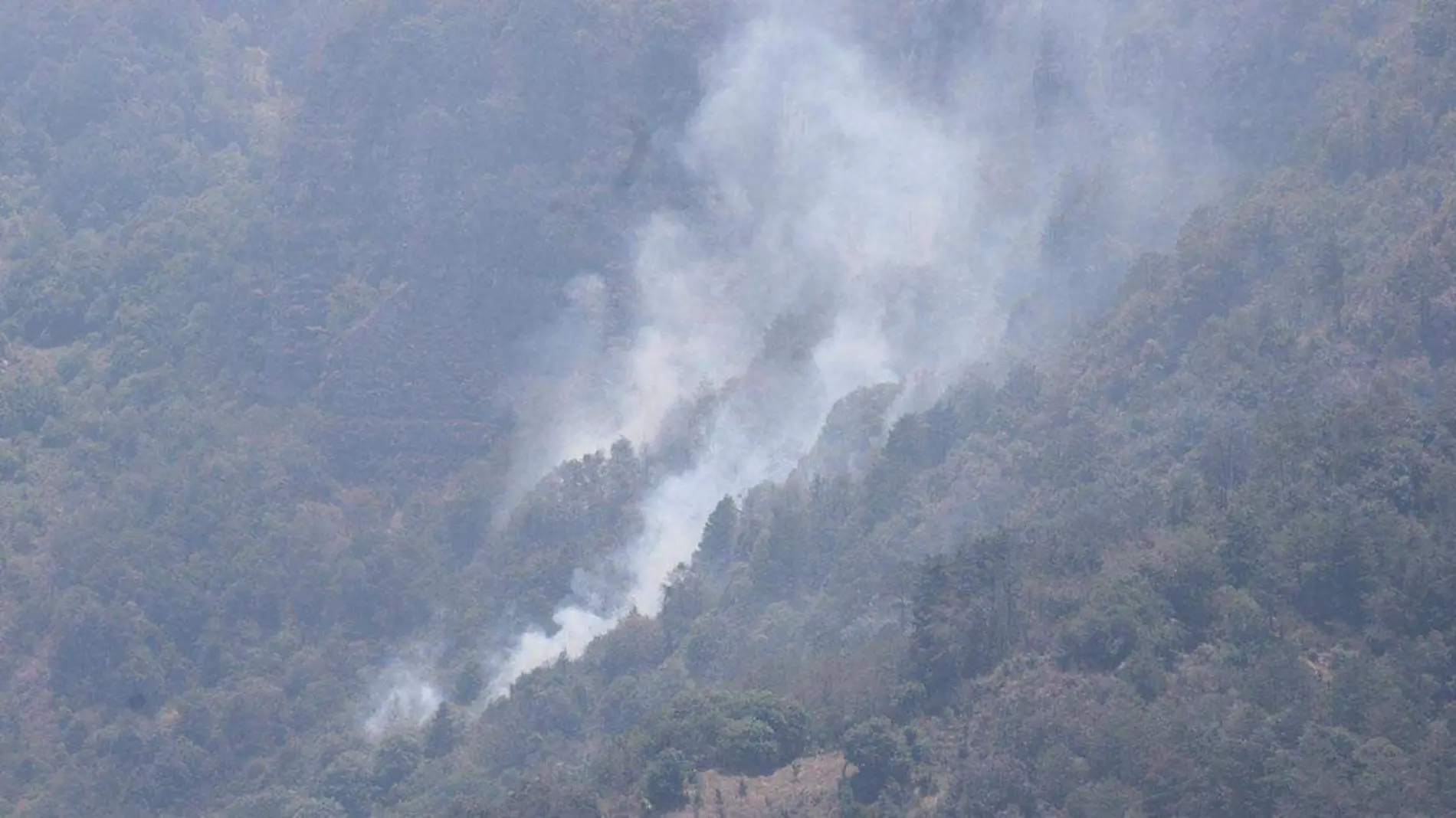 Ayer, 3 de junio, ha sido el día con mayor cantidad de incendios forestales en lo que va de la temporada